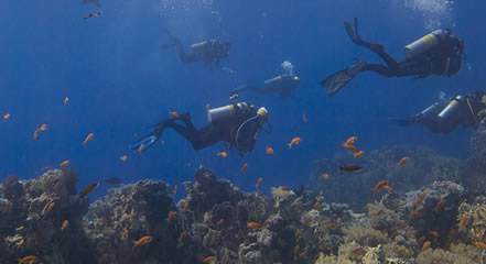Diving at Mnemba Atoll Zanzibar