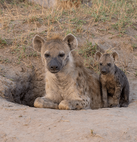 katavi national park location