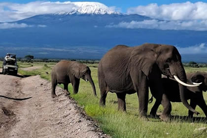 4x4 Adventure Safaris in Amboseli National Park