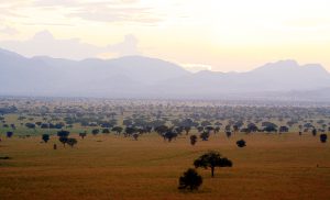 Kidepo Valley National Park