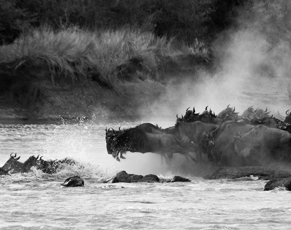 Serengeti 4x4 safaris