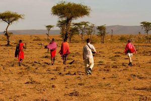 Nature walks at Masai Mara