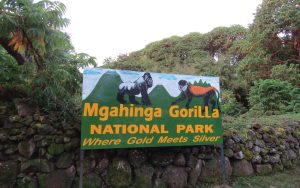 Mgahinga National Park