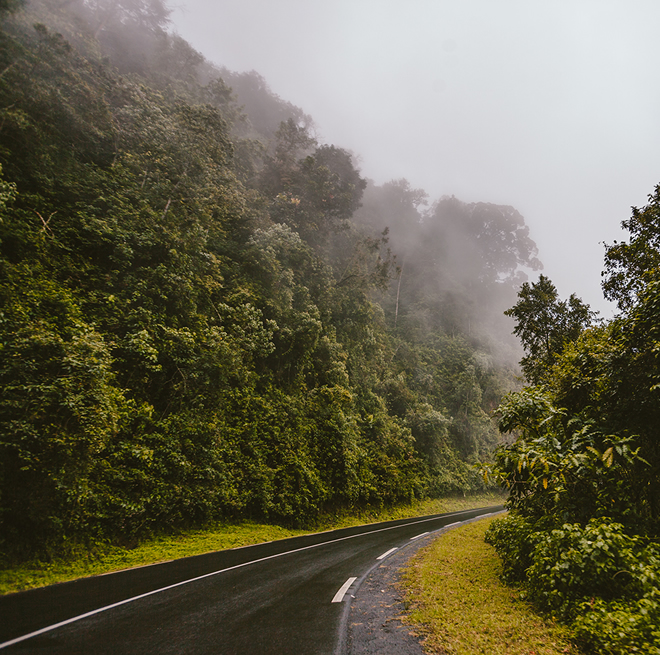 Rwanda Self-Drive Safari — Gorilla Trekking in Volcanoes National Park
